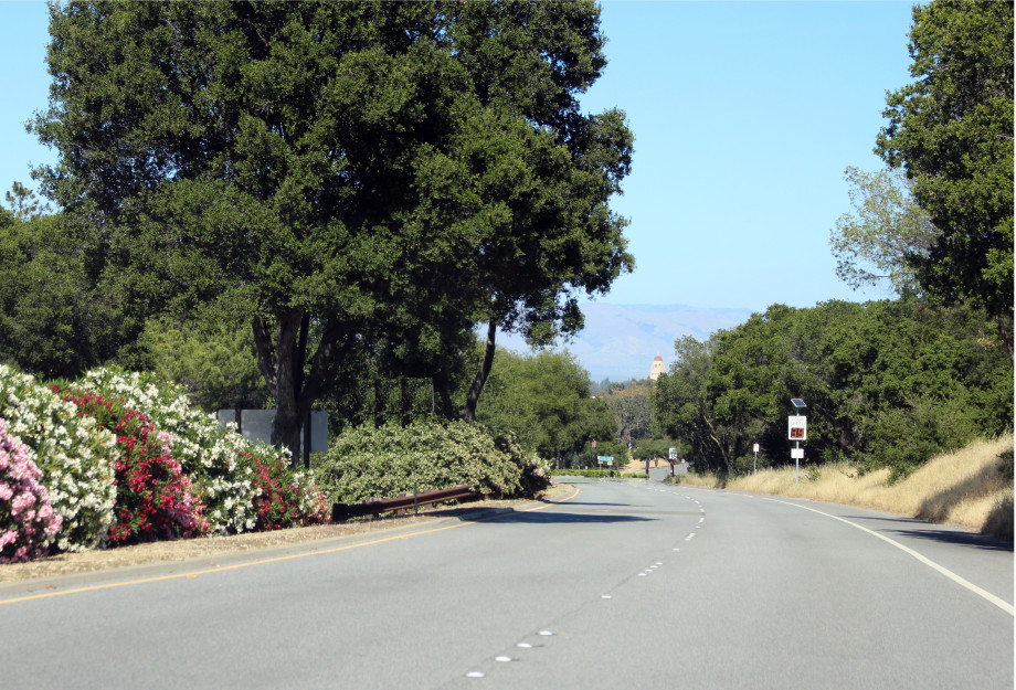 Sand_Hill_Road_Eastbound_View.jpg